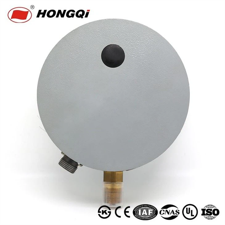 Hongqi differentially transmissible pressure gauge
