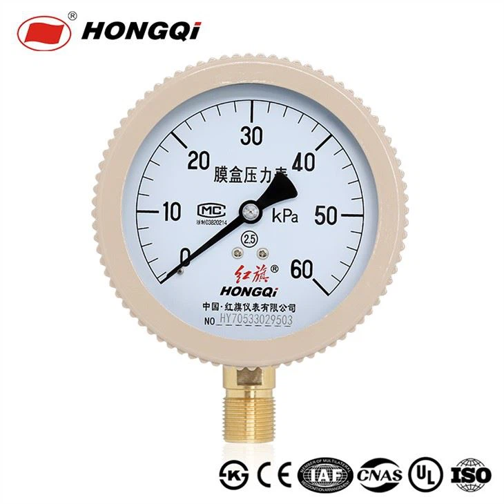 Hongqi ® Top Brand 4" Proizvodnja dijapragmskog manometra u Kini