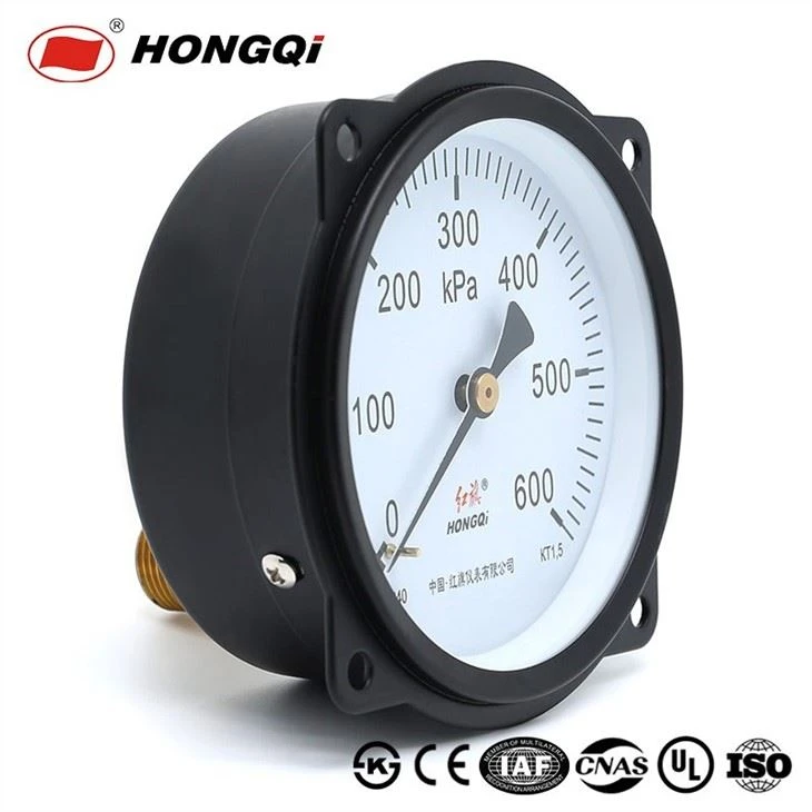 Manometer Axial Back Connection With Front Flange